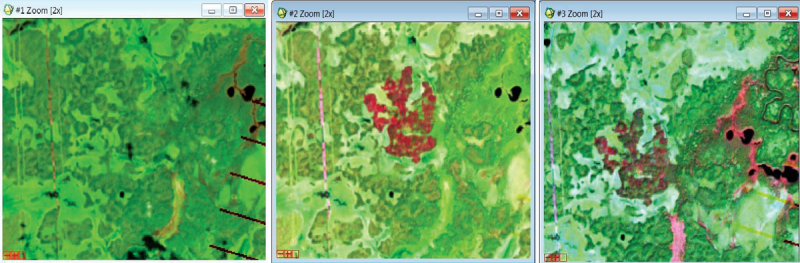 Рис. 13. Мониторинг пожаров, дата съемки 02.06.2012 г., 18.06.2012 г., 20.09.2012 г. (слева направо), спутник Landsat-5
