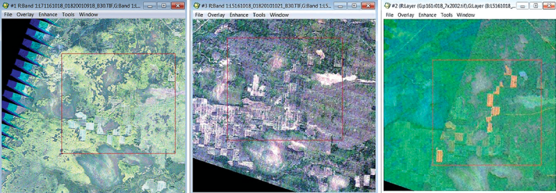 Рис. 14. Изменение ландшафта в период 2002-2010 гг. (слева направо), оранжевым цветом отображены новые рубки