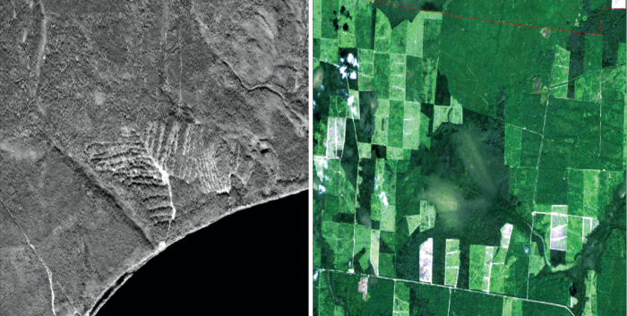 Рис. 15. Выборочные рубки (ALOS PRISM,2009 г.) и сплошные рубки с участками лесовосстановления (LANDSAT-5, 2010 г.)