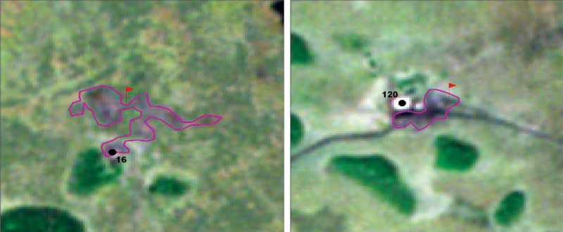 Рис. 17. Нефтезагрязнённые участки возле скв. 16,120, дешифрированные по космическим снимкам «RapidEye» (дата съемки 2010 г.) на территории Каменного Западного ЛУ (красный флажок – данные по загрязнению ОАО «ТНК-Нягань»)