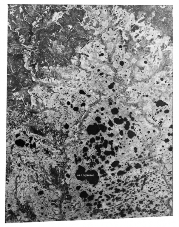 Рис. 1. Космическое фотоизображение южной части Шаимского нефтегазоносного района