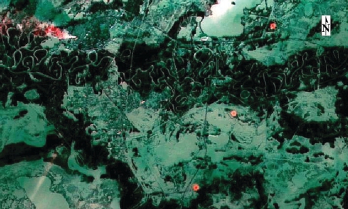 Рис. 4. Горение нескольких факельных установок на Варьеганском лицензионном участке (синтез каналов 7-3-4 Landsat-8 дата съёмки 17.01.2015г.)